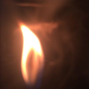 Meet your Posher, Carly